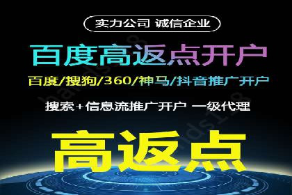 某电商平台信息流竞价策略及成效分析